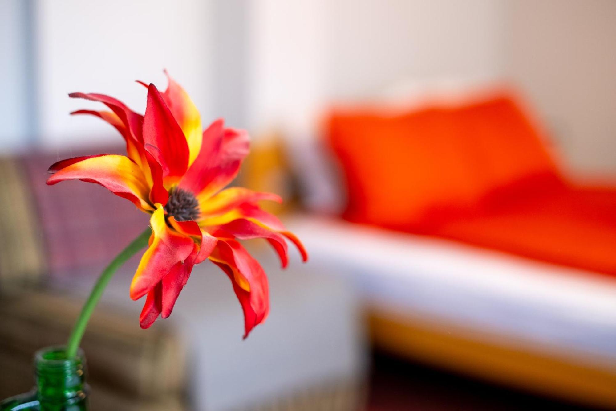 Guesthouse Rose Sarajevo Bagian luar foto